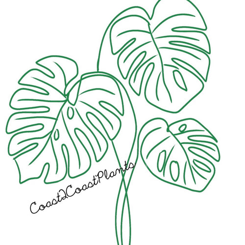 Coast2CoastPlants